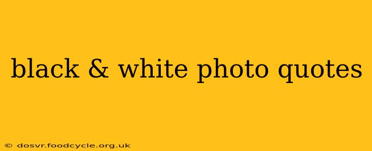 black & white photo quotes
