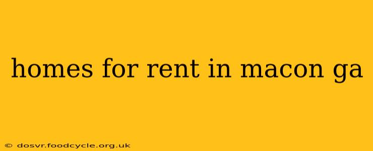 homes for rent in macon ga