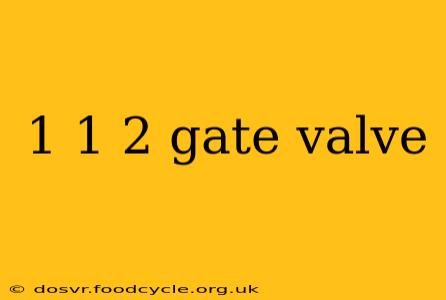 1 1 2 gate valve