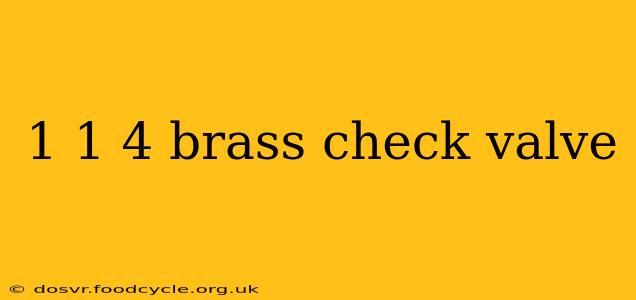 1 1 4 brass check valve