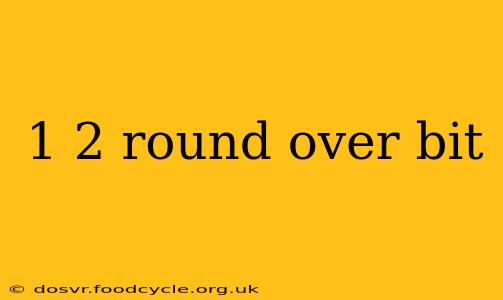 1 2 round over bit