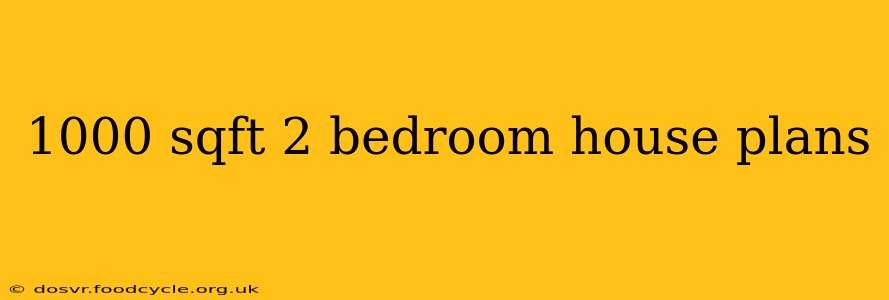 1000 sqft 2 bedroom house plans