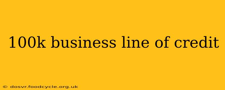 100k business line of credit