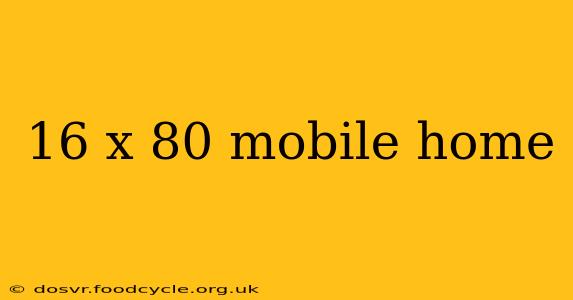 16 x 80 mobile home
