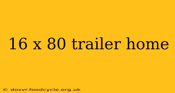 16 x 80 trailer home