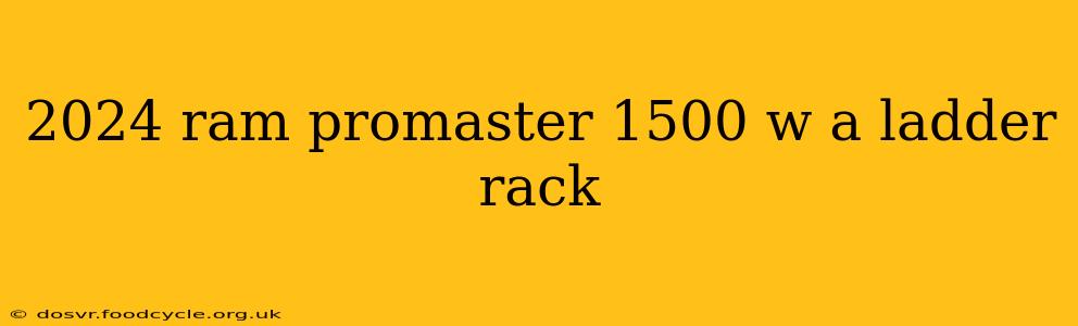 2024 ram promaster 1500 w a ladder rack