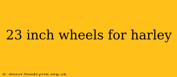 23 inch wheels for harley