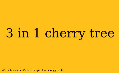 3 in 1 cherry tree