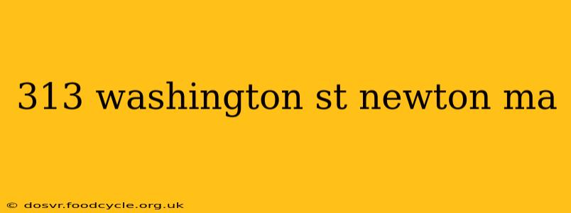 313 washington st newton ma