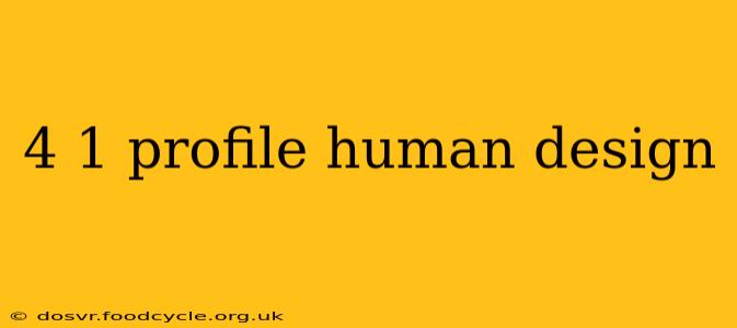 4 1 profile human design