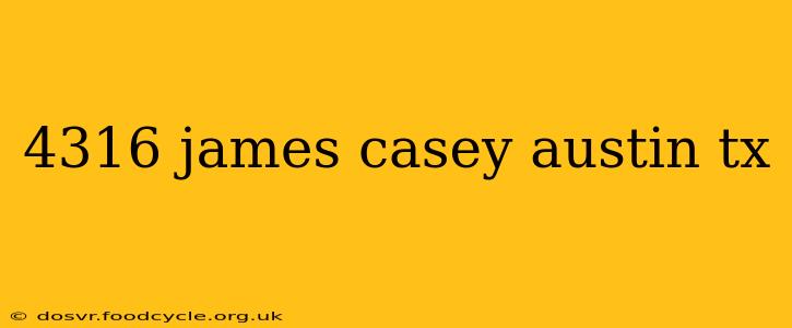 4316 james casey austin tx