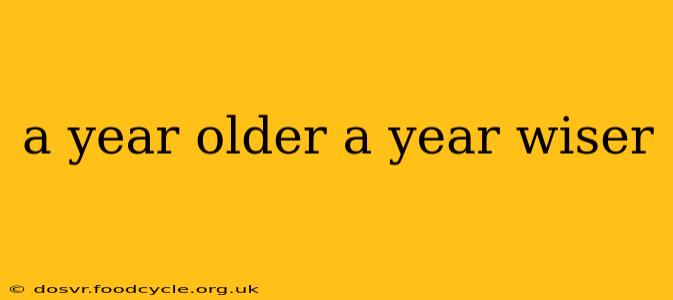 a year older a year wiser