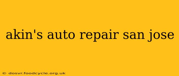 akin's auto repair san jose