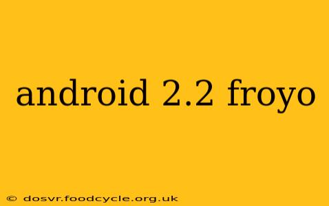 android 2.2 froyo