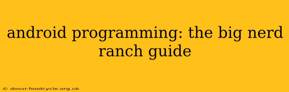 android programming: the big nerd ranch guide