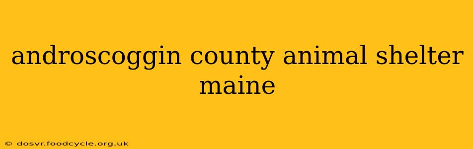androscoggin county animal shelter maine