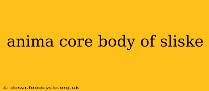 anima core body of sliske