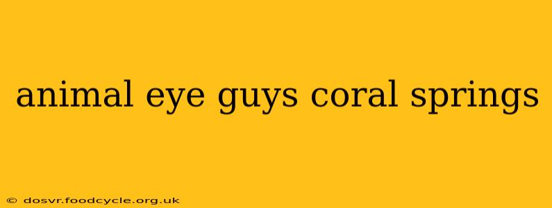 animal eye guys coral springs
