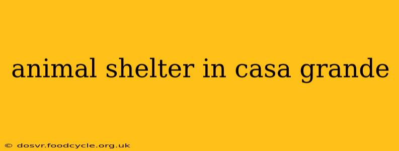 animal shelter in casa grande
