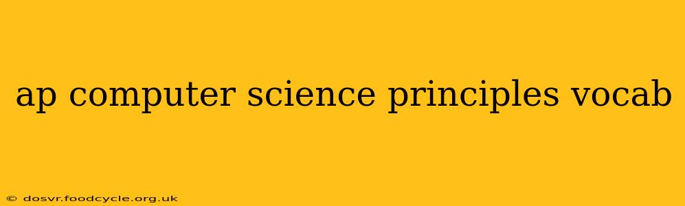 ap computer science principles vocab