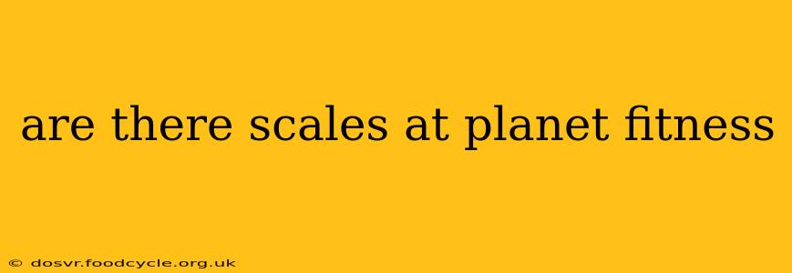 are there scales at planet fitness