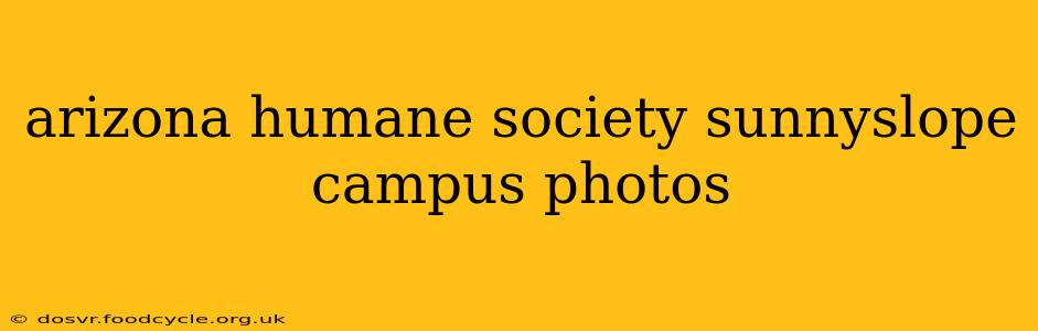 arizona humane society sunnyslope campus photos