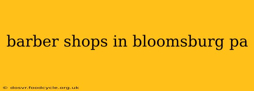 barber shops in bloomsburg pa