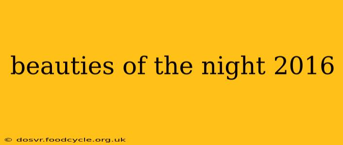 beauties of the night 2016