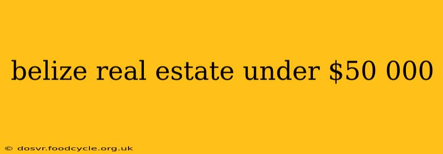 belize real estate under $50 000