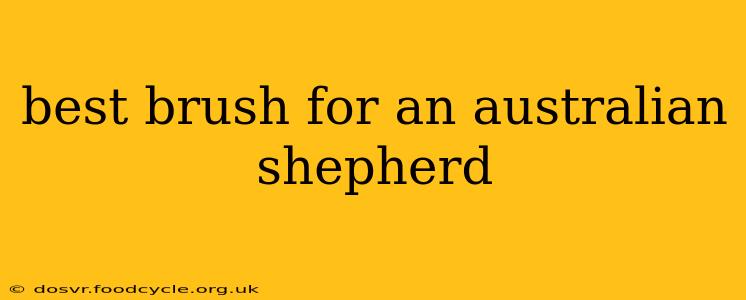 best brush for an australian shepherd