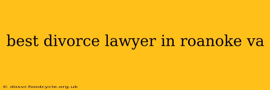 best divorce lawyer in roanoke va