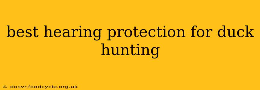 best hearing protection for duck hunting