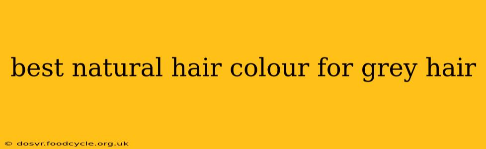 best natural hair colour for grey hair