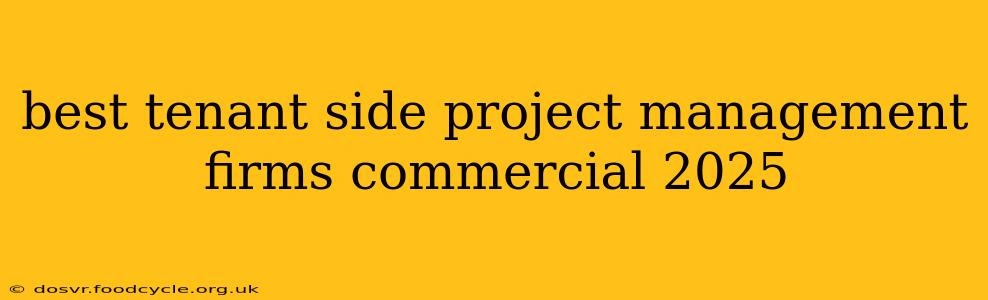 best tenant side project management firms commercial 2025
