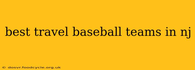 best travel baseball teams in nj