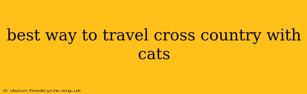 best way to travel cross country with cats
