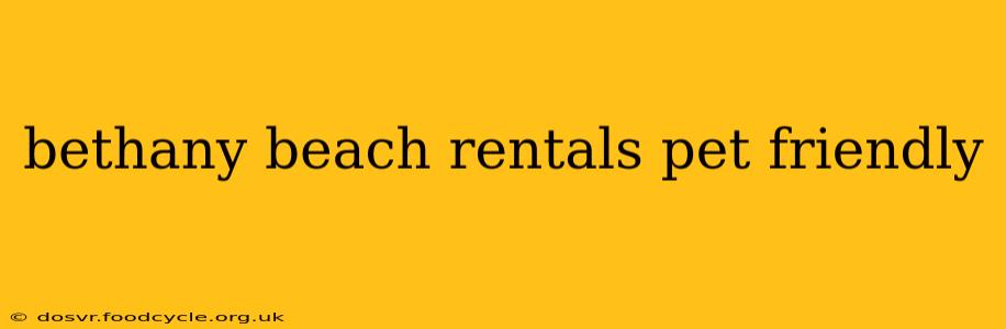 bethany beach rentals pet friendly
