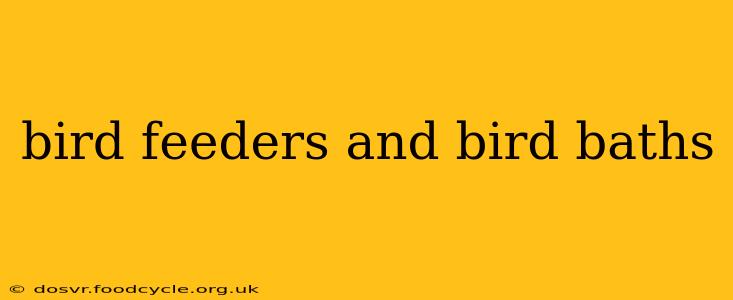 bird feeders and bird baths