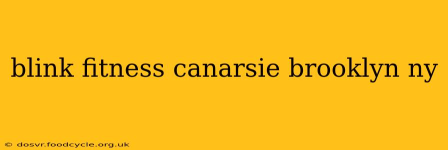 blink fitness canarsie brooklyn ny
