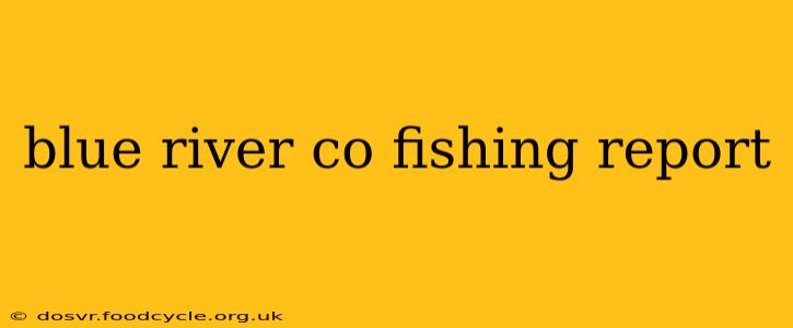 blue river co fishing report