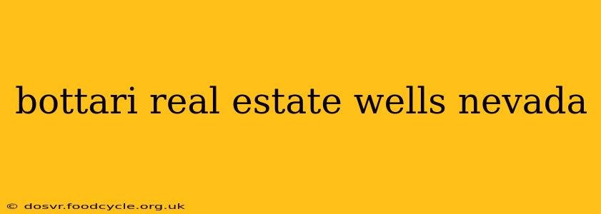 bottari real estate wells nevada