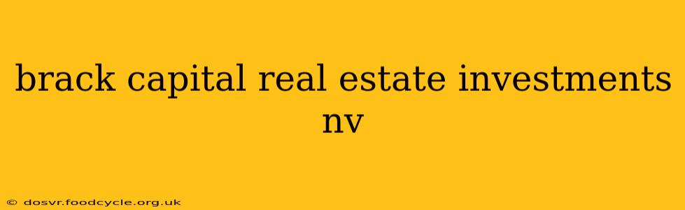 brack capital real estate investments nv