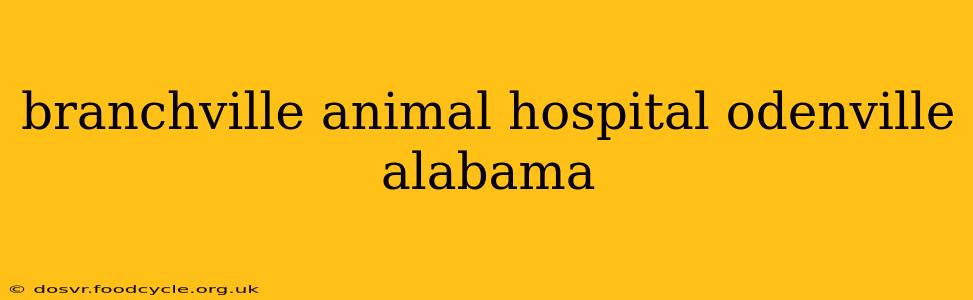branchville animal hospital odenville alabama