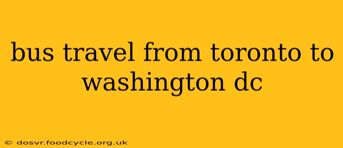 bus travel from toronto to washington dc