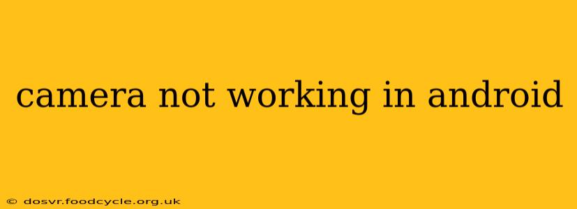 camera not working in android