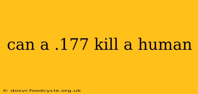 can a .177 kill a human