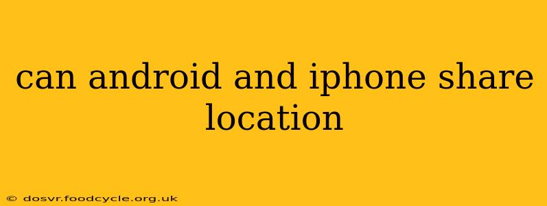 can android and iphone share location