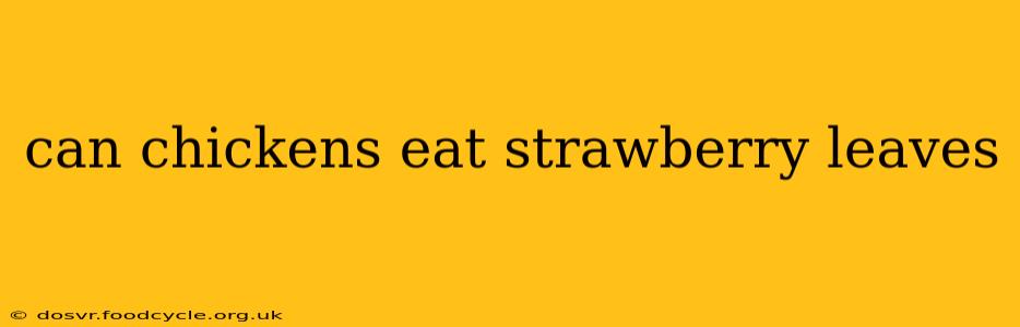 can chickens eat strawberry leaves