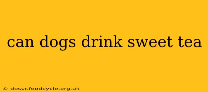 can dogs drink sweet tea