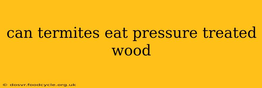 can termites eat pressure treated wood